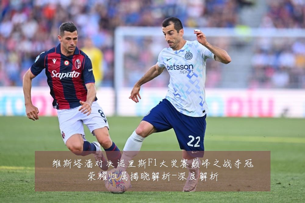 维斯塔潘对决诺里斯F1大奖赛巅峰之战夺冠荣耀归属揭晓解析-深度解析